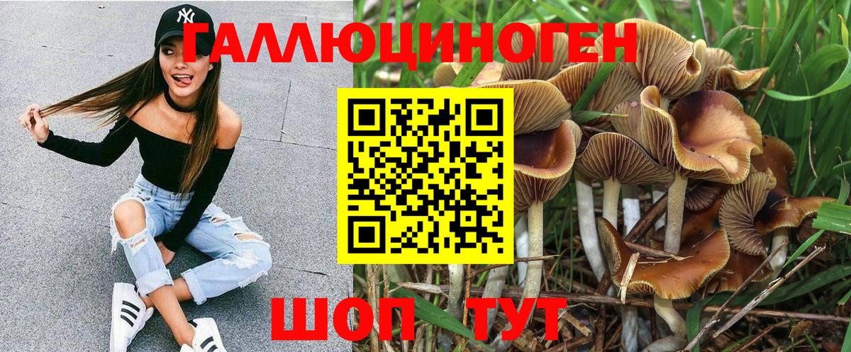 Галлюциногенные грибы мицелий Кемерово